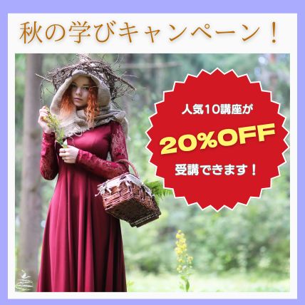 キャンペーン情報