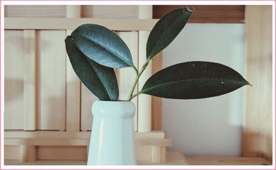 古神道式霊性開花「鎮魂法」ワークショップ